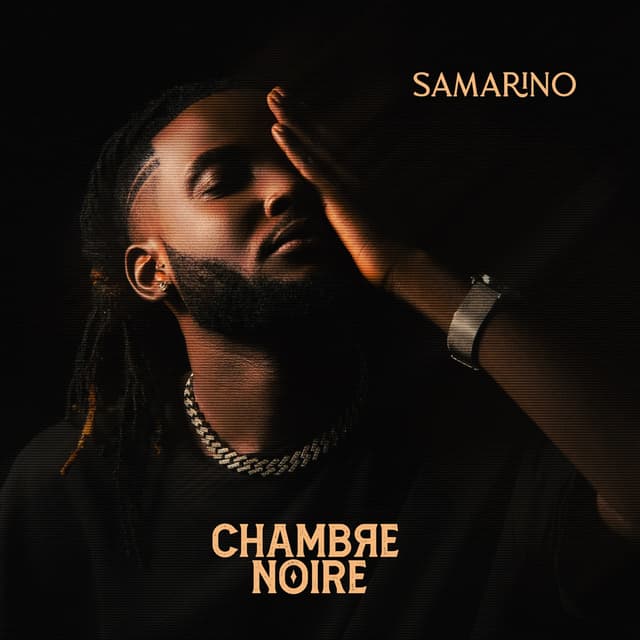 Album cover art for Chambre Noire