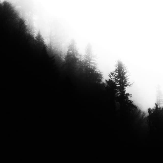 Album cover art for Ours