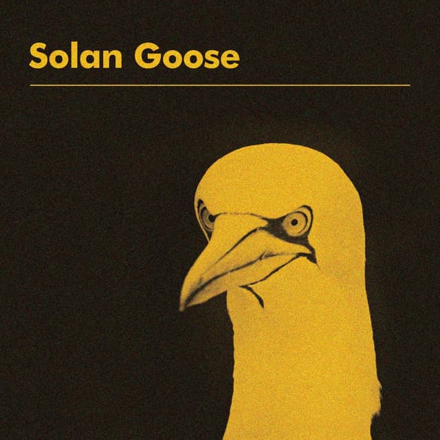 Album cover art for Solan Goose