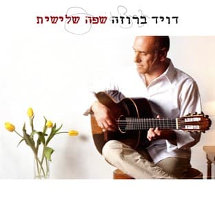 Album cover art for Third Language