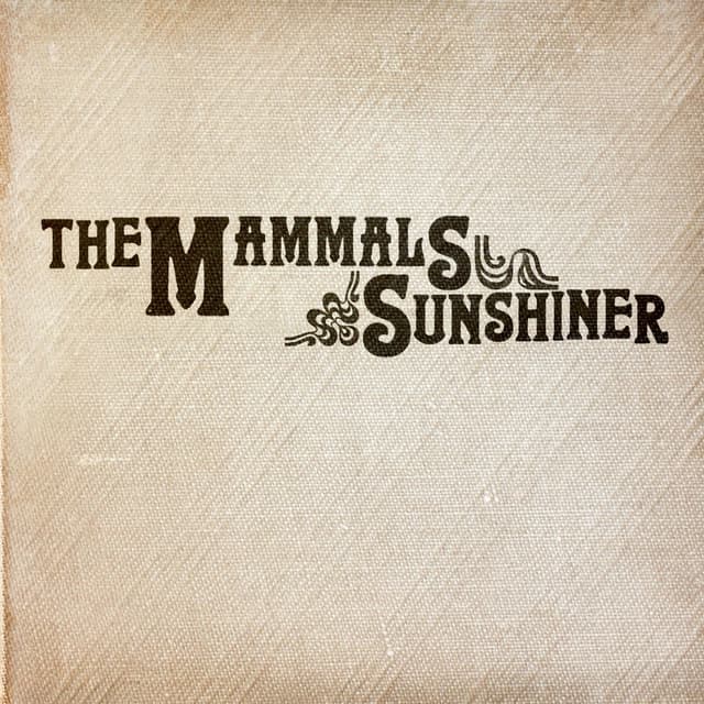 Album cover art for Sunshiner