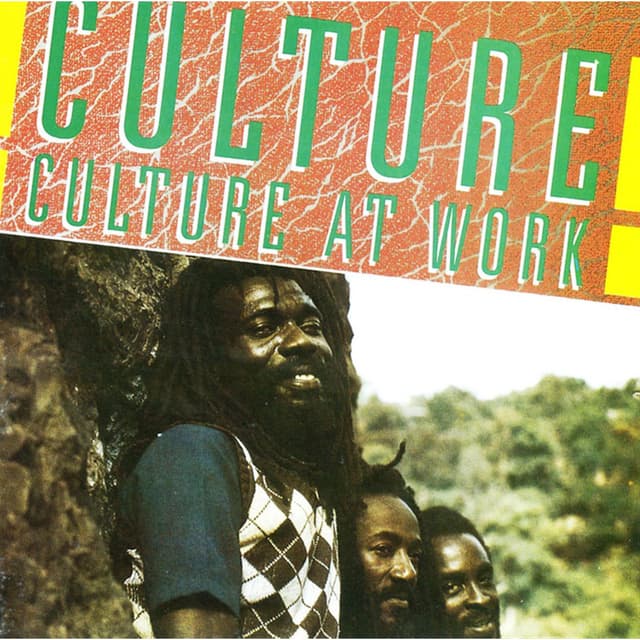 Album cover art for Culture At Work