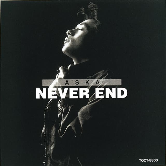 Album cover art for Never End