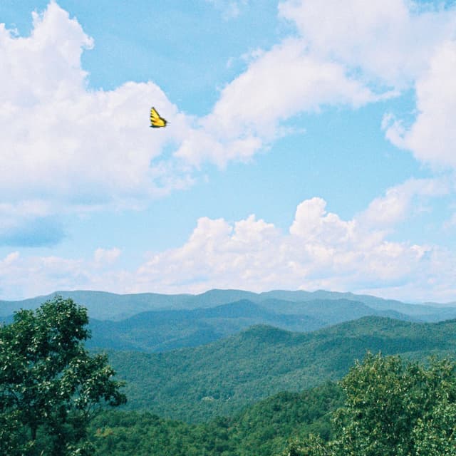 Album cover art for Bluebeard