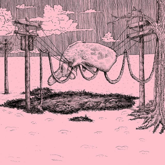 Album cover art for The Whaler