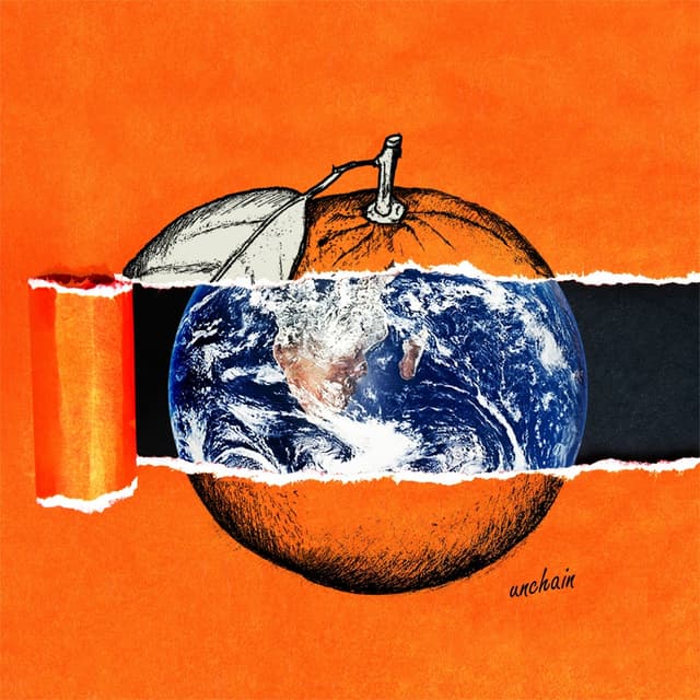 Album cover art for Orange