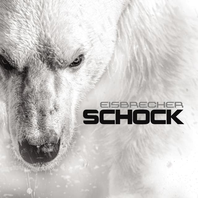 Album cover art for Schock