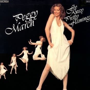 Album cover art for Fly Away Pretty Flamingo