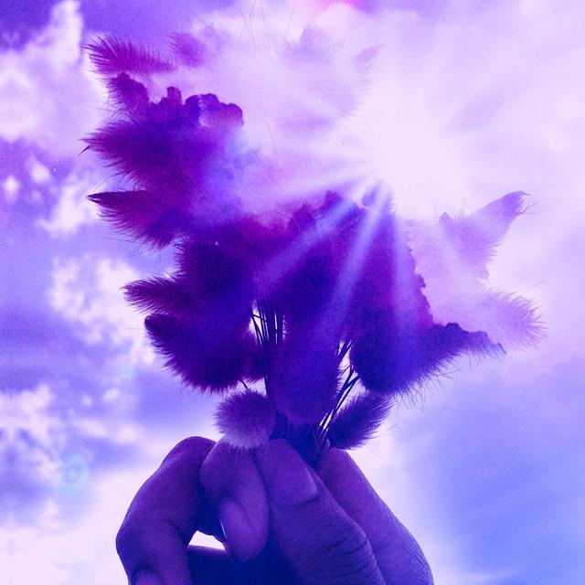 Album cover art for D'or et de lumière