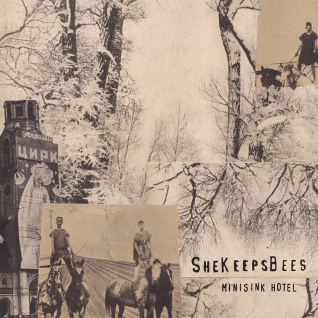 Album cover art for Minisink Hotel