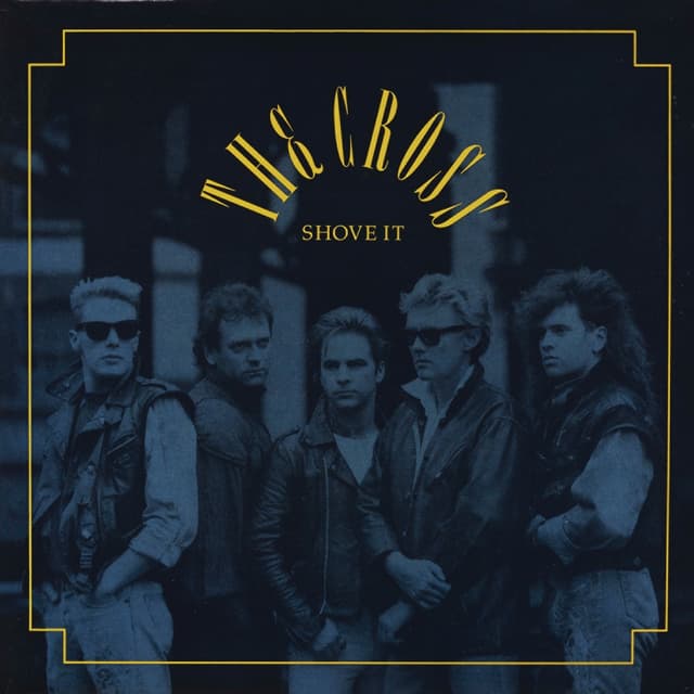 Album cover art for Shove It