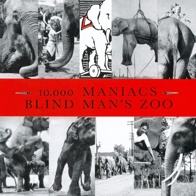 Album cover art for Blind Man's Zoo