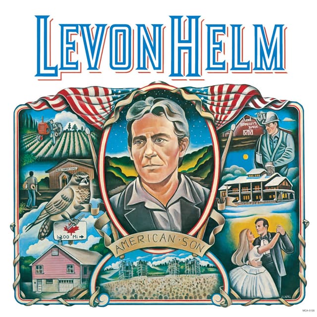 Album cover art for American Son