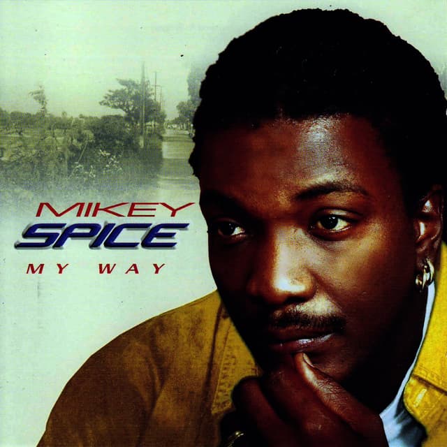 Album cover art for My Way