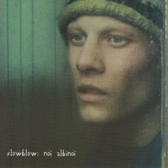 Album cover art for Noi Albinoi