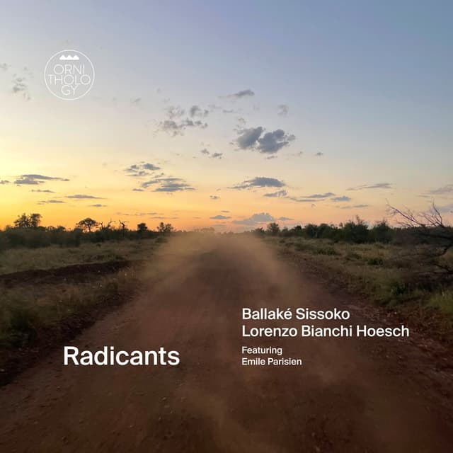 Album cover art for Radicants