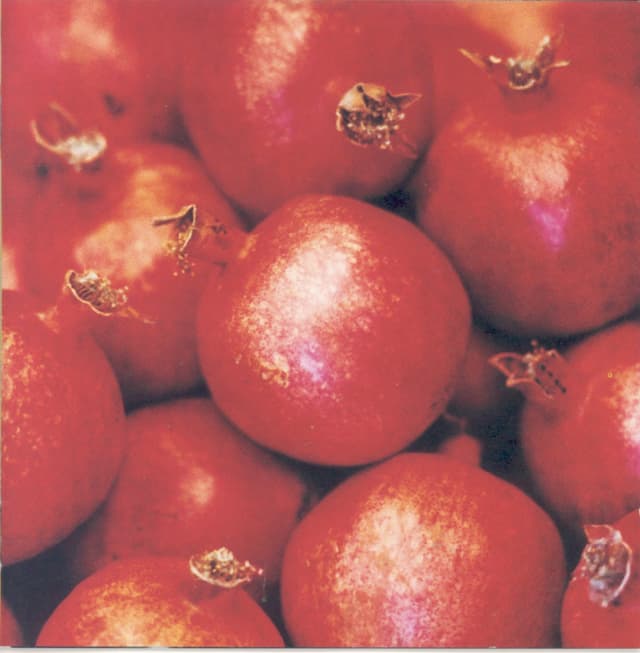 Album cover art for Tähti