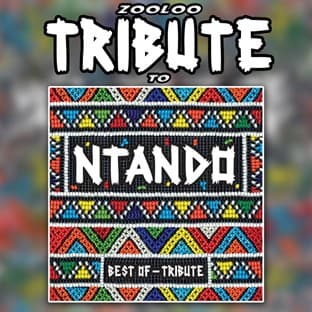 Album cover art for A Tribute To - Very Best Of Ntando