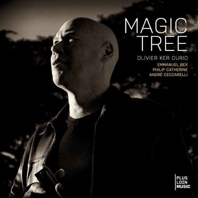 Album cover art for Magic Tree