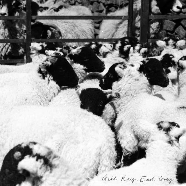 Album cover art for Earl Grey