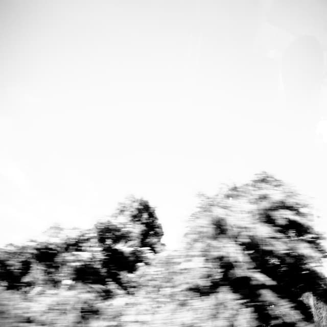 Album cover art for Pictures