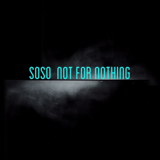 Album cover art for Not for Nothing