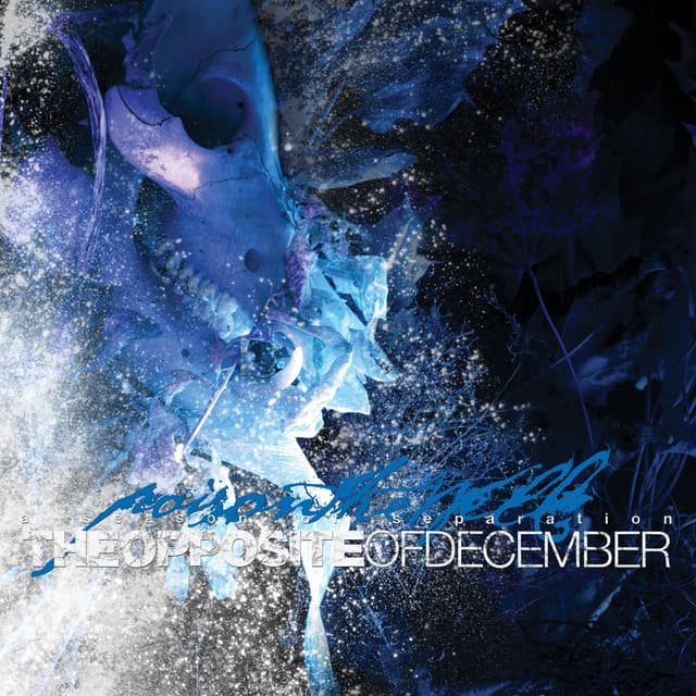Album cover art for The Opposite Of December