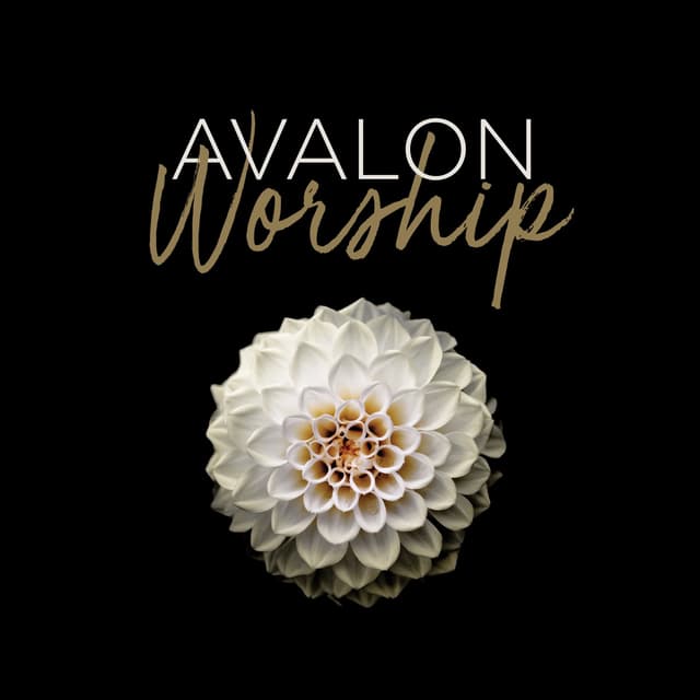 Album cover art for Worship