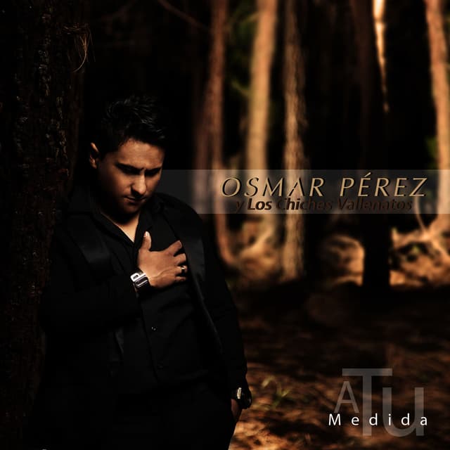 Album cover art for A Tu Medida