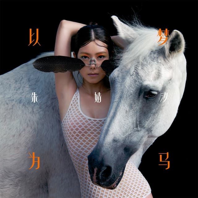 Album cover art for 以梦为马
