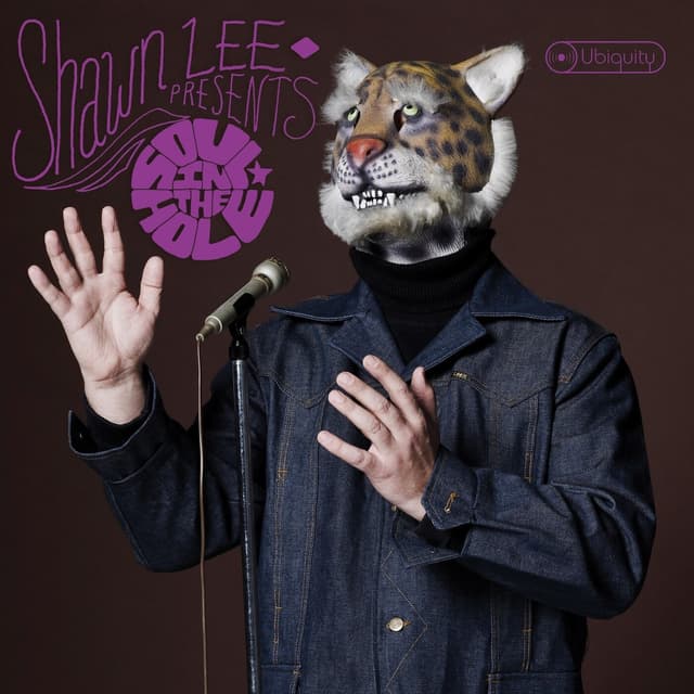 Album cover art for Soul in the Hole