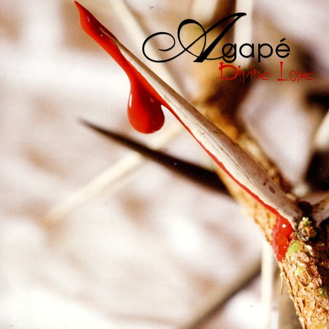 Album cover art for Divine Love