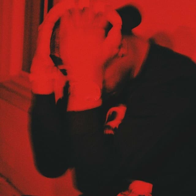 Album cover art for Vulture