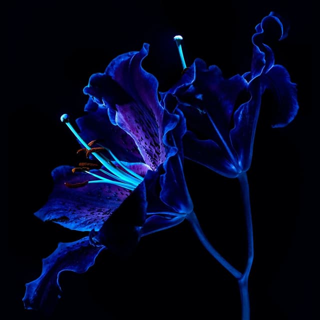 Album cover art for Modulations: EP2