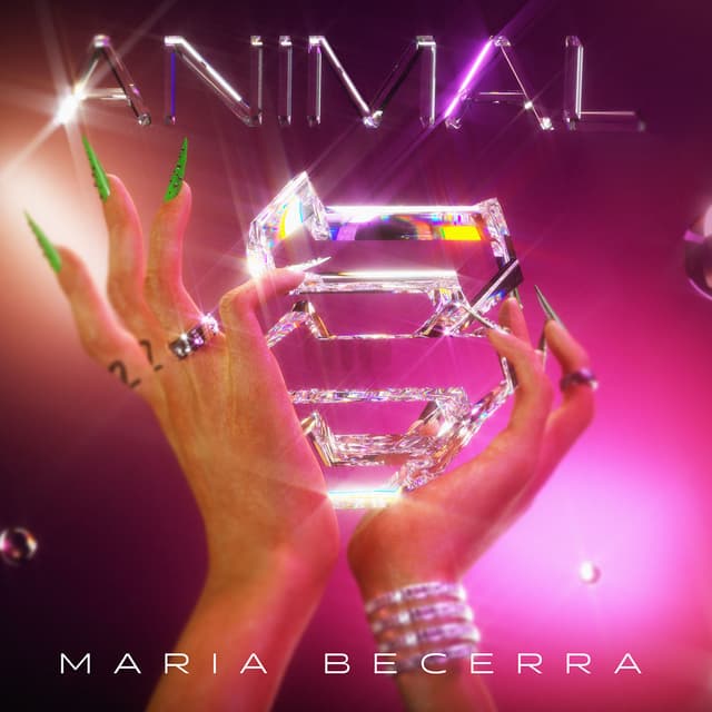 Album cover art for Animal