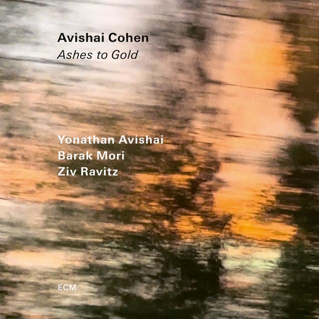 Album cover art for Ashes to Gold