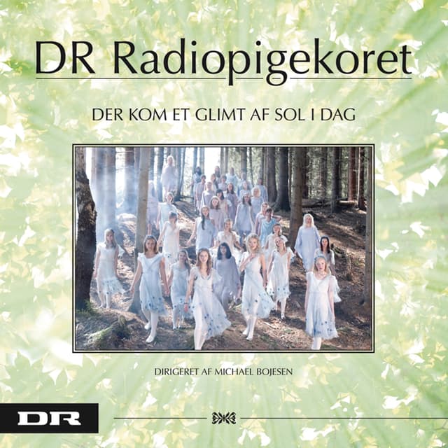 Album cover art for Der kom et glimt af sol i dag