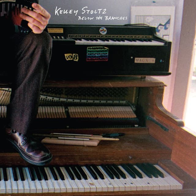 Album cover art for Below the Branches