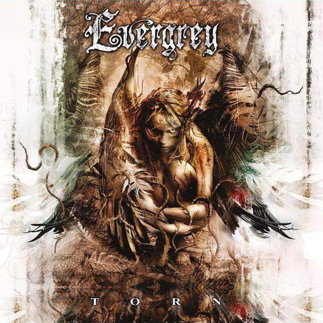 Album cover art for Torn