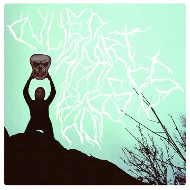 Album cover art for Pulled Apart By Horses