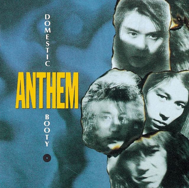 Album cover art for DOMESTIC BOOTY