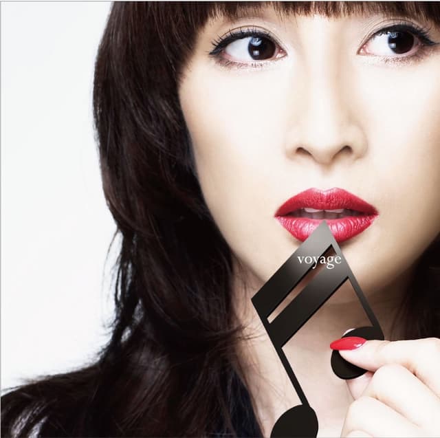 Album cover art for Voyage