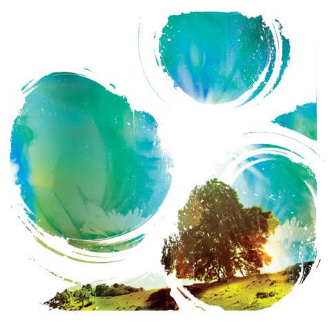 Album cover art for Sunrise Projector