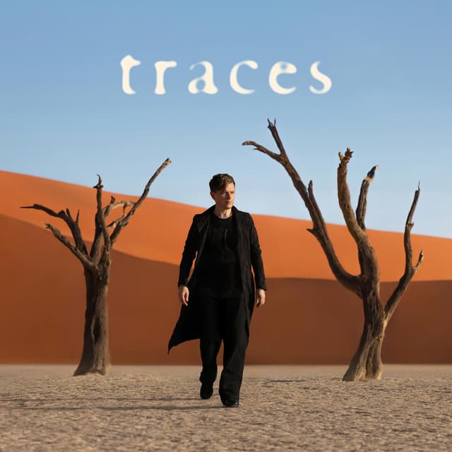 Album cover art for Traces