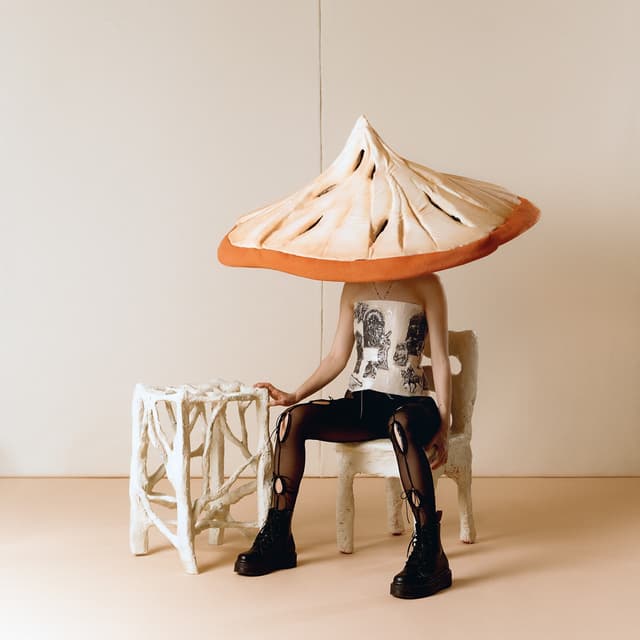 Album cover art for Consolation