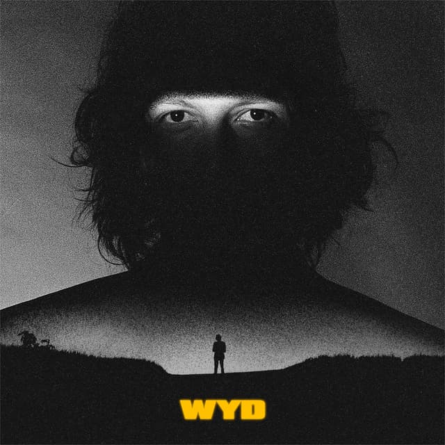 Album cover art for Wyd