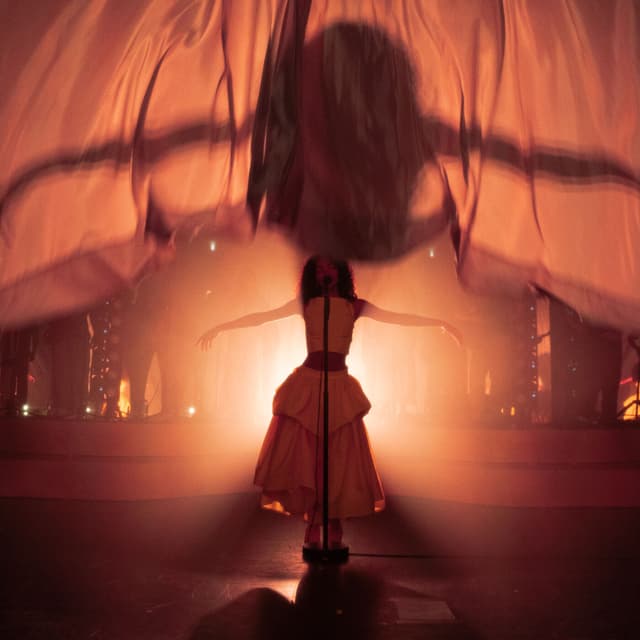 Album cover art for Live At Eventim Apollo