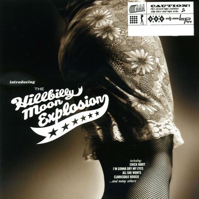 Album cover art for Introducing