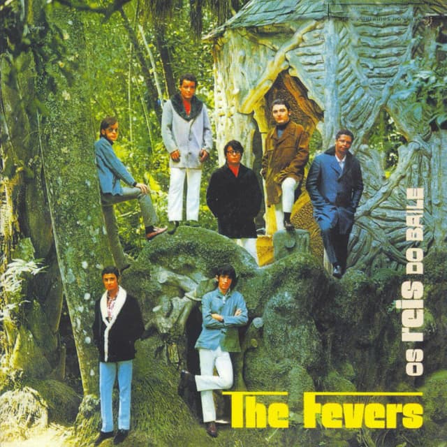 Album cover art for The Fevers II