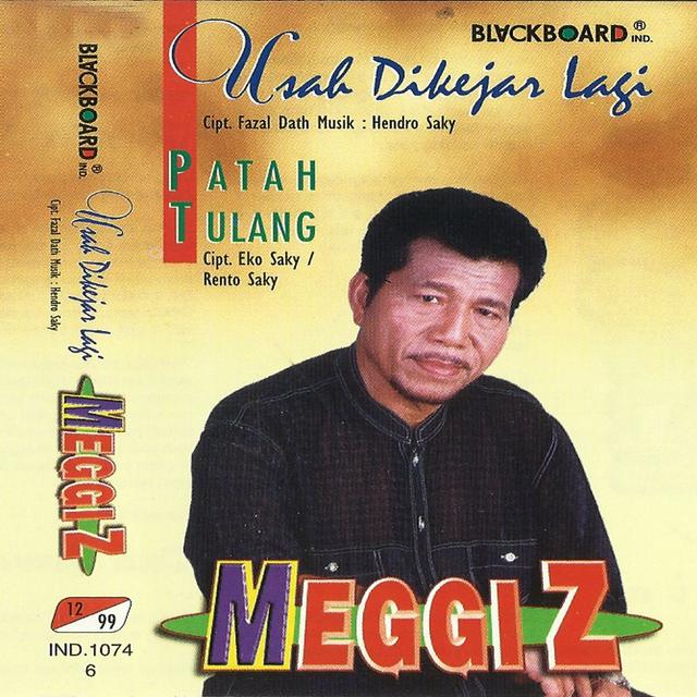 Album cover art for Usah Dikejar Lagi